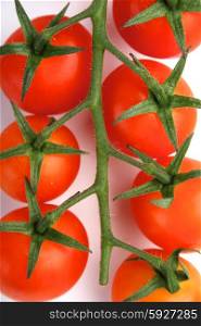 Tomato on white background - studio shot