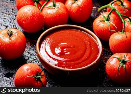 Tomato sauce with a branch of fresh tomatoes. Against a dark background. High quality photo. Tomato sauce with a branch of fresh tomatoes.
