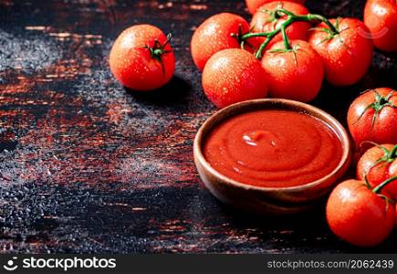 Tomato sauce with a branch of fresh tomatoes. Against a dark background. High quality photo. Tomato sauce with a branch of fresh tomatoes.