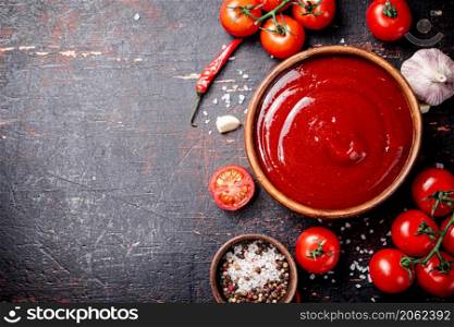 Tomato sauce with garlic and spices. Against a dark background. High quality photo. Tomato sauce with garlic and spices.