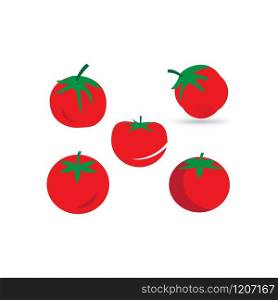 tomato vector ilustration template