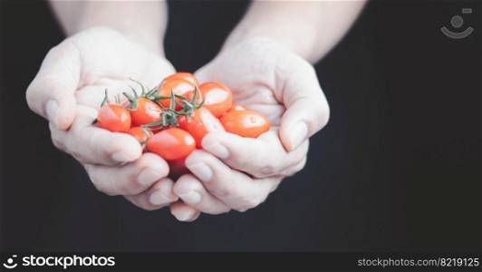 Tomato vegetables are the basis of a healthy diet