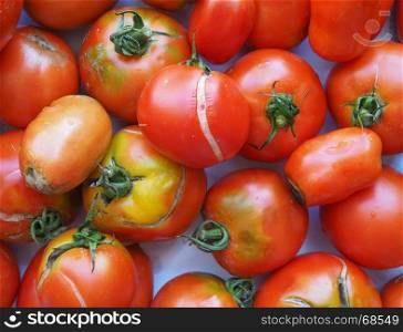 tomato vegetables food. tomatoes (Solanum lycopersicum) vegetables vegetarian and vegan food