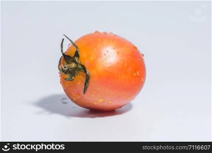 Tomato white background
