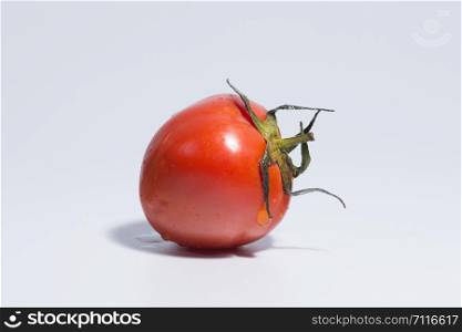 Tomato white background