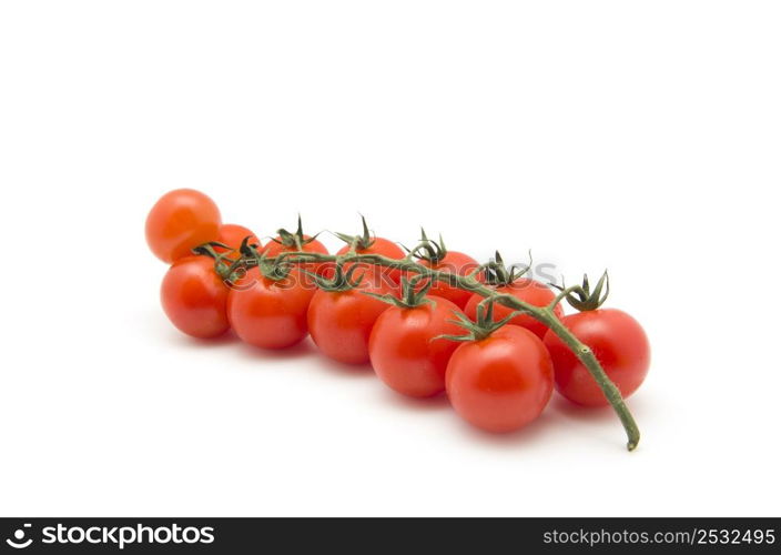 tomatoes