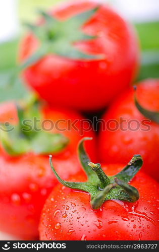 Tomatoes and cucumbers ready for salad