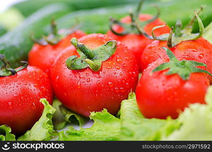 Tomatoes and cucumbers ready for salad