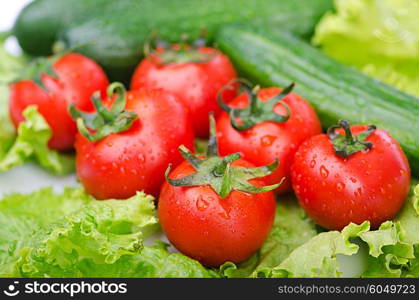 Tomatoes and cucumbers ready for salad