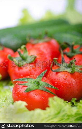 Tomatoes and cucumbers ready for salad