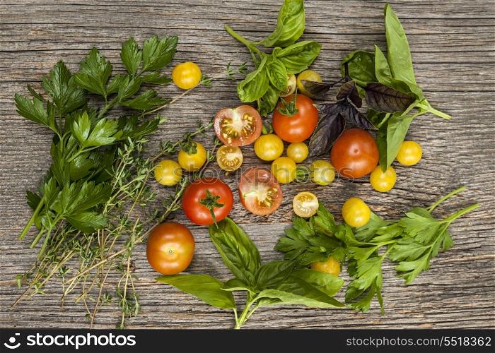 Tomatoes and herbs. Fresh colorful tomatoes and herbs on rustic wooden background from above