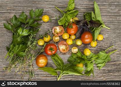 Tomatoes and herbs. Fresh colorful tomatoes and herbs on rustic wooden background from above