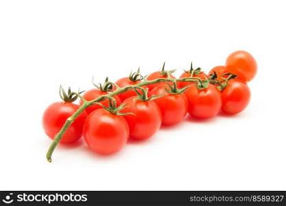 Tomatoes cherry branch isolated on white background