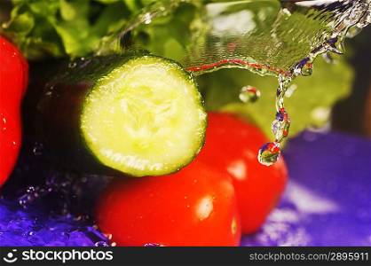 tomatoes, cucumber, salad and splashes on violet background