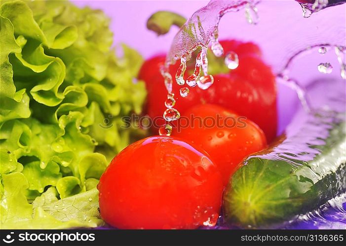 tomatoes, cucumber, salad and splashes on violet background