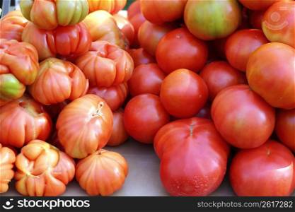 tomatoes in market raff tomato vegetable food from Spain