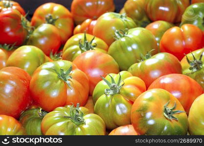 tomatoes in market raff tomato vegetable food from Spain