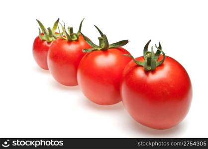 tomatoes in row. It is isolated on a white background