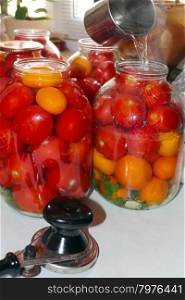 tomatoes in the jars prepared for preservation. red tasty tomatos in jars prepared for preservation