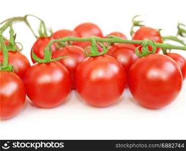 tomatoes isolated on the white. branch of fresh red tomatoes isolated on the white