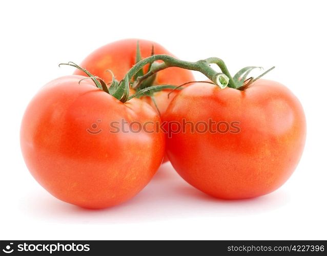 Tomatoes isolated on white background. Tomatoes