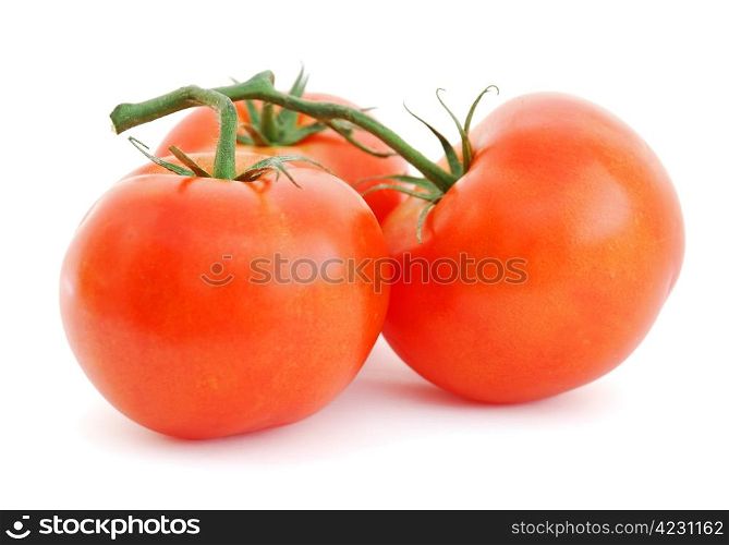 Tomatoes isolated on white background . Tomatoes