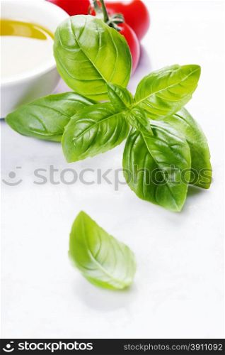 Tomatoes, olive oil and basil on white marble background