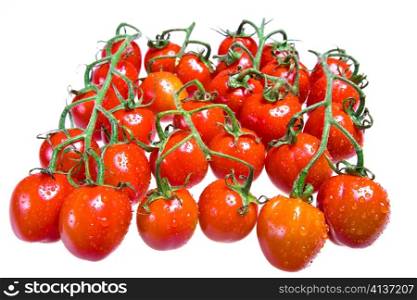 Tomatoes on branch in drops of water