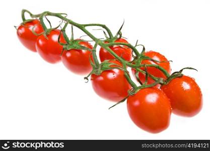 Tomatoes on branch in drops of water