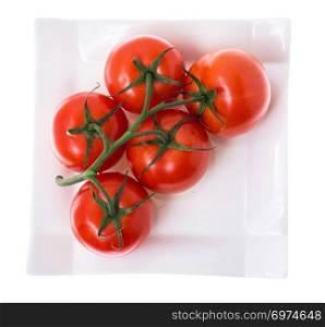 Tomatoes on branch in plate on white background. Studio Photo. Tomatoes on branch in plate on white background