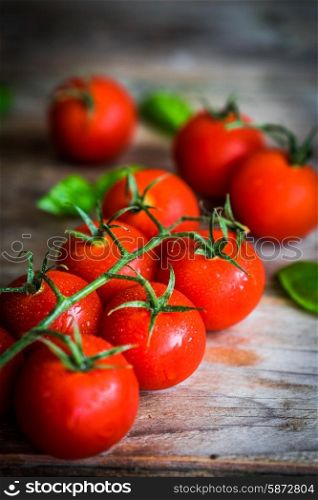 Tomatoes on rustic wooden background