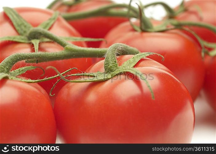 Tomatoes on stem, close-up, studio shot