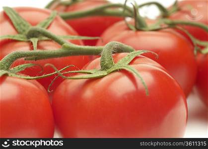 Tomatoes on stem, close-up, studio shot