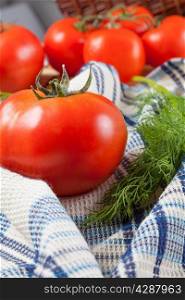 tomatoes on the table with dill