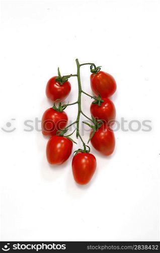 Tomatoes on their vine