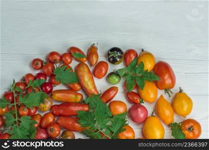 Tomatoes on wooden background. Space for text. Organic green, red, yellow, orange tomatoes.. The harvest of assorted tomatoes. Variety ripe natural organic delicious different tomatoes