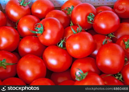 tomatoes. tomato