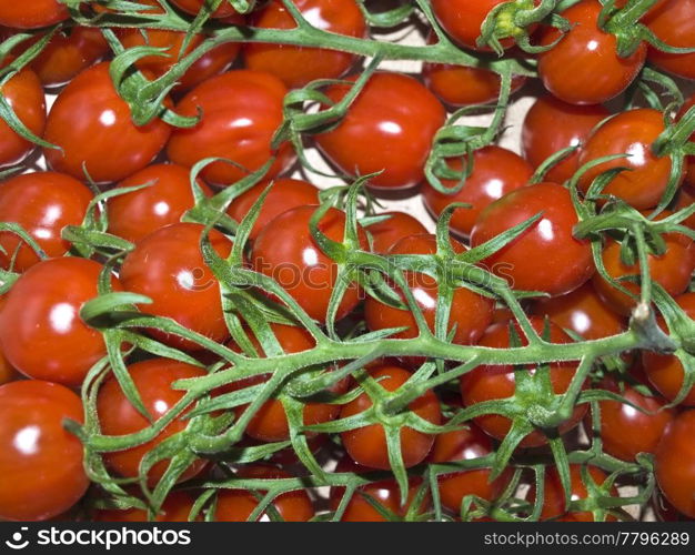 tomatoes. tomato