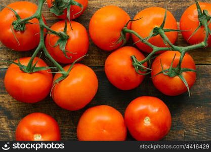 Tomatoes with branch on a wooden rustic background