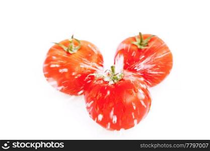 tomatoes with drops of water isolated on white