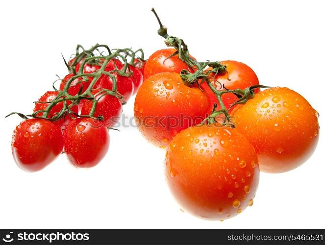 tomatos branch in water splashes