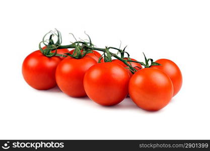 tomatos bunch isolated on white