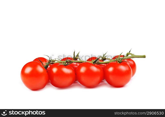 tomatos bunch isolated on white