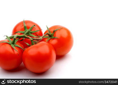 tomatos isolated on white background close up