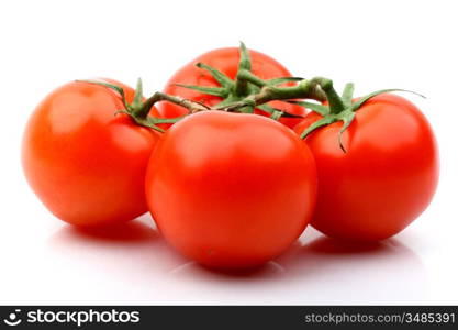 tomatos isolated on white background close up