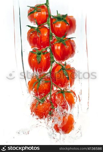 Tomatos keeping cleaned