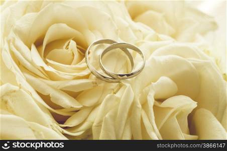 Toned background for wedding with rings lying on white roses