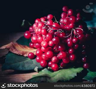 toned image guelder rose berries on the wooden table, dark background