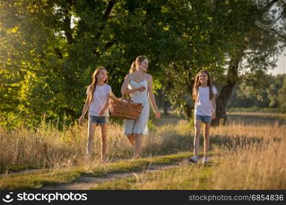 Toned image of happy family walking at meadow to picnic