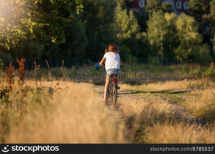 Toned image of young woman riding away on bicycle at meadow